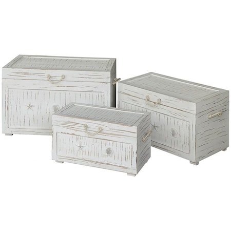 Seaside White Shell Set Of 3 Trunks